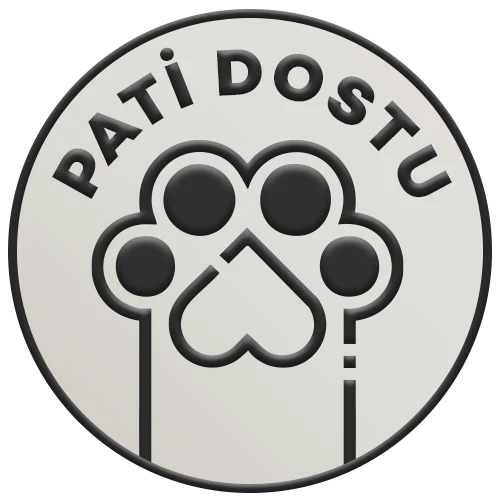 Pati Dostu